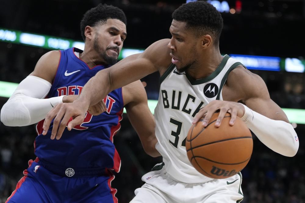 杨力维与新 杨力维与新